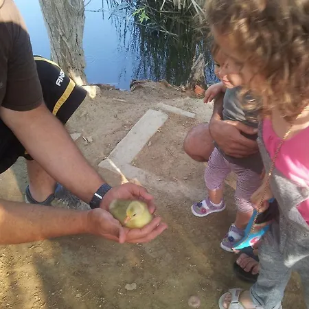 בית כפרי Caseta Morritos